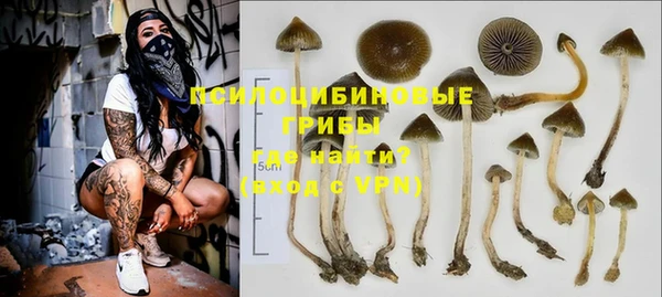 a pvp Абдулино