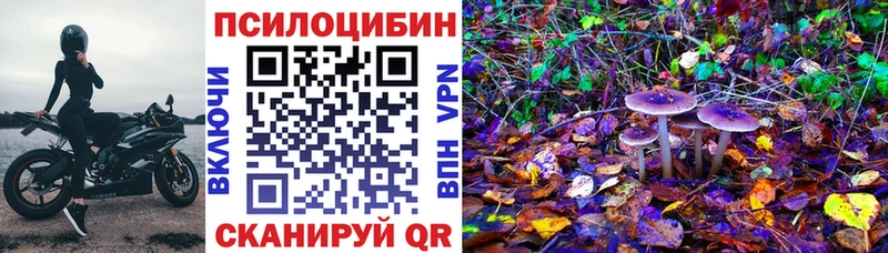 Галлюциногенные грибы Psilocybine cubensis  мега зеркало  Тайга  цены  