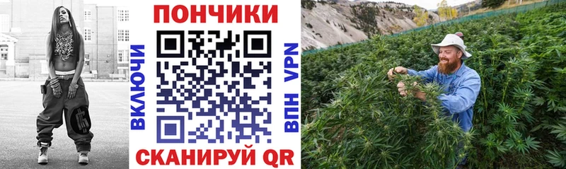 Марихуана планчик  Тайга 